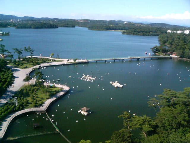 常盤公園を園内の石炭記念館の展望塔から見下ろした風景