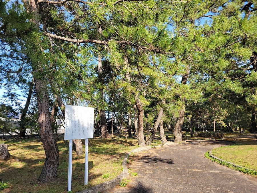 糸根の松原