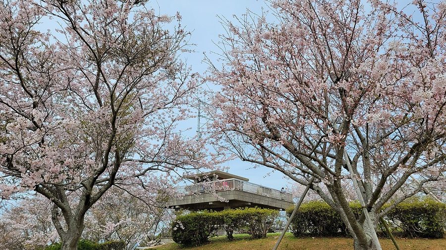 竜王山公園、山頂の展望台