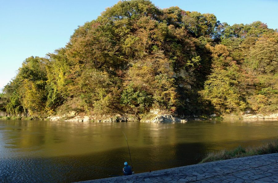 紅葉に彩られた最上川沿いの岸辺