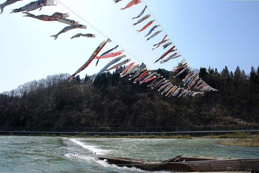 最上川にかかる鯉のぼり