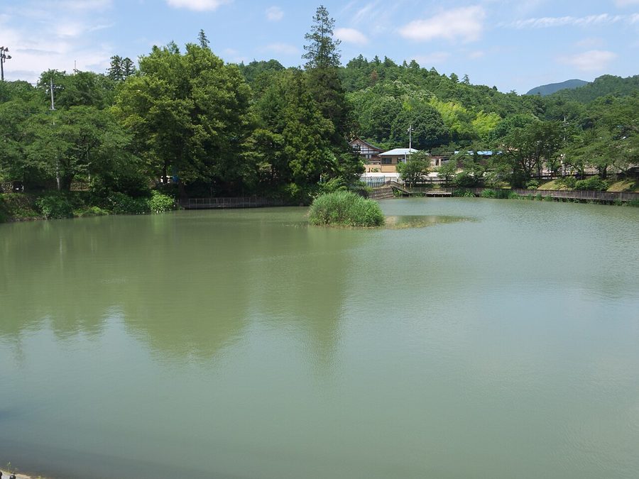 月見が池