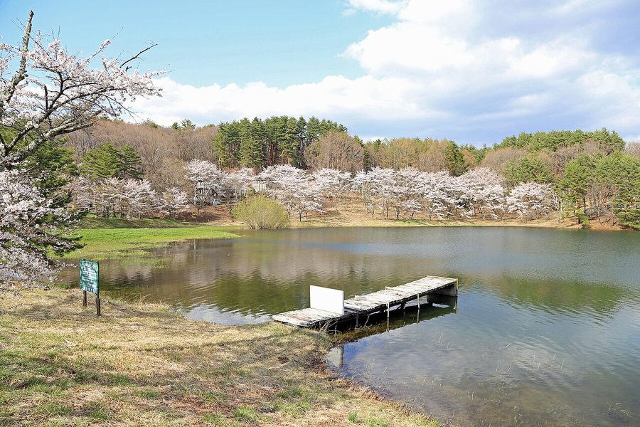 みどり湖