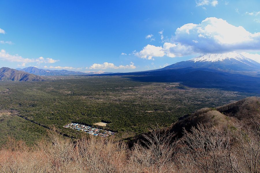 御坂山地のパノラマ台から望む青木ヶ原樹海