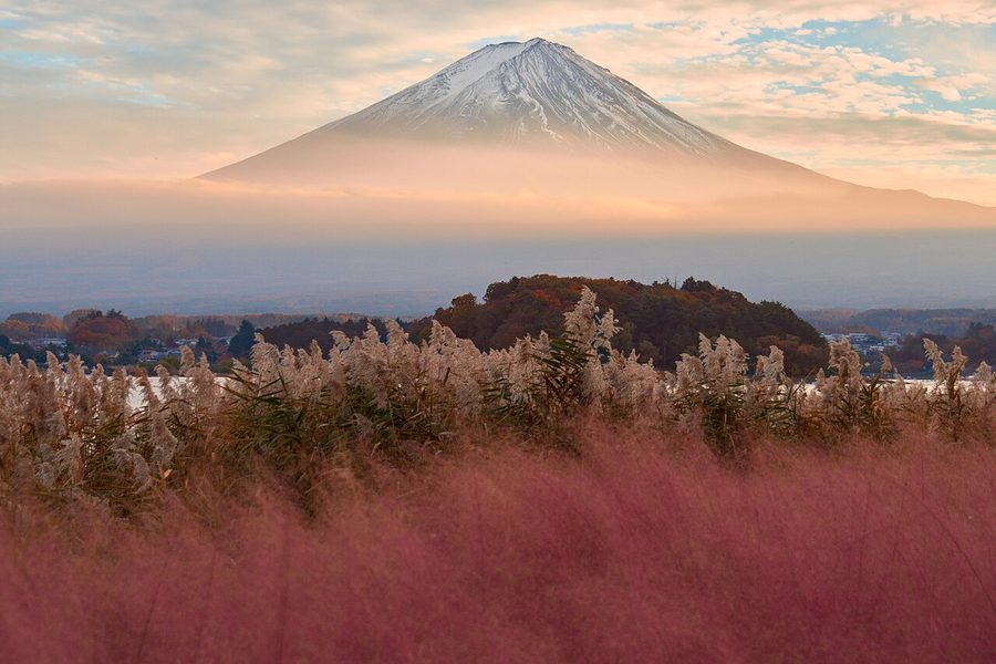 河口湖から望む富士山