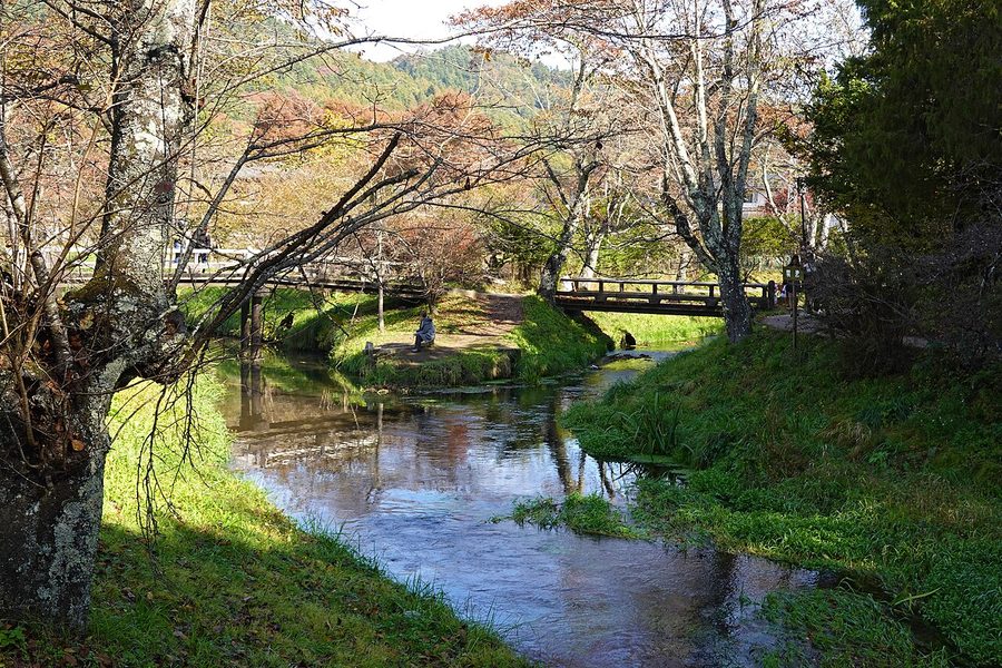 新名庄川