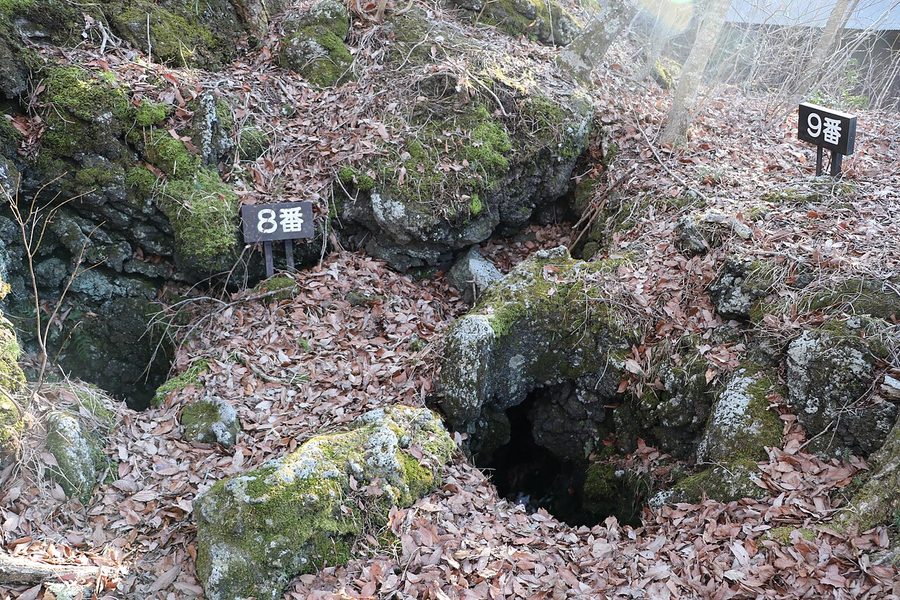 鳴沢熔岩樹型の8番・9番