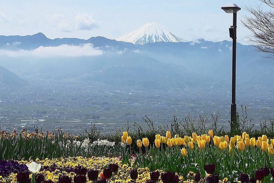笛吹川フルーツ公園から望む甲府盆地と富士山