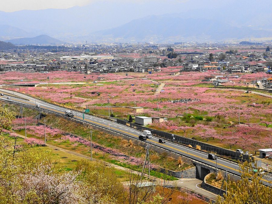 フルーツラインから見た笛吹市の一帯