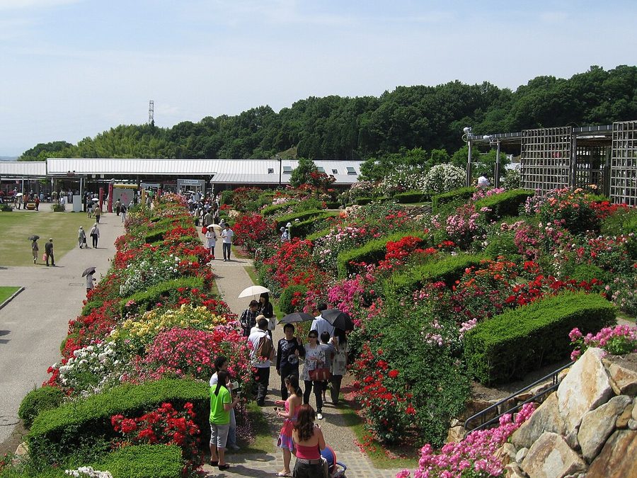 花フェスタ記念公園（現・ぎふワールド・ローズガーデン）のテラスガーデンと西ゲート（奥）
