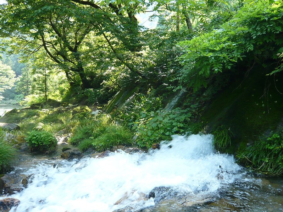 円原の伏流水