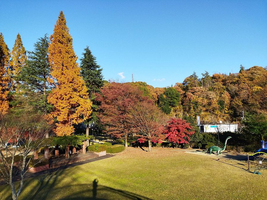 瑞浪市民公園の紅葉と芝生広場