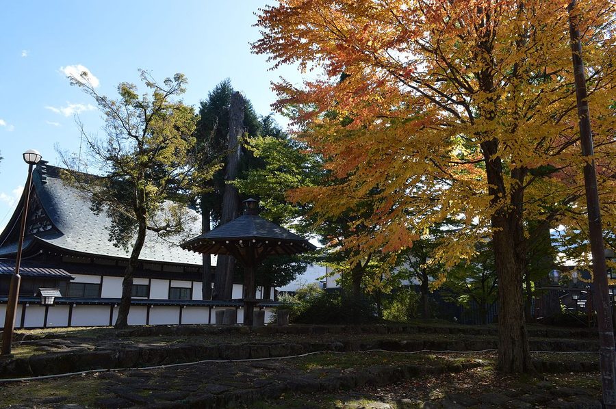 円光寺の境内