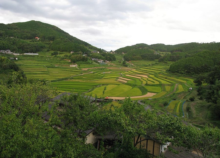美咲町大垪和西の棚田