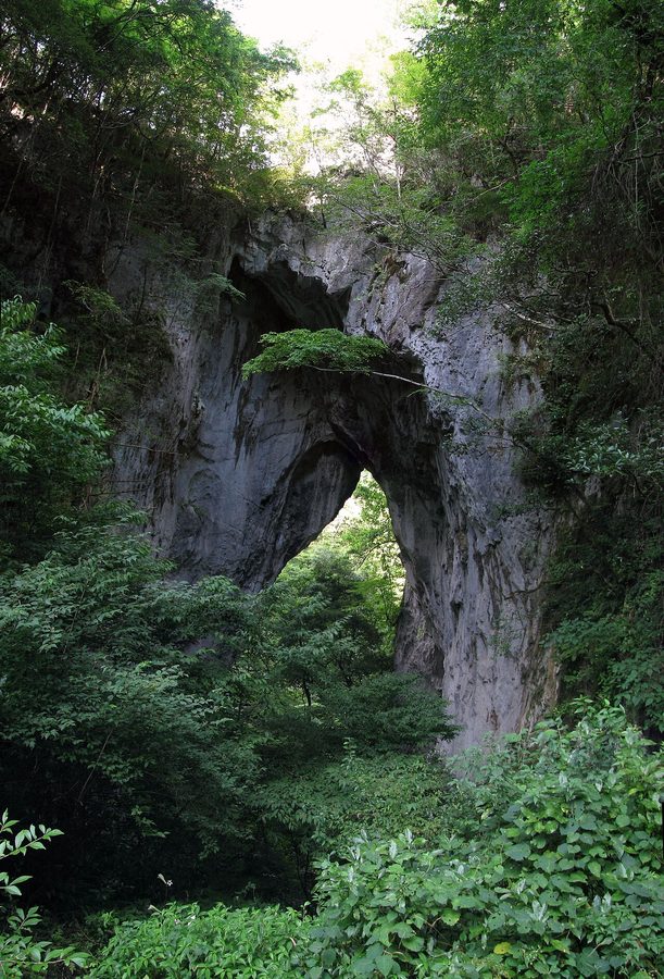 羅生門