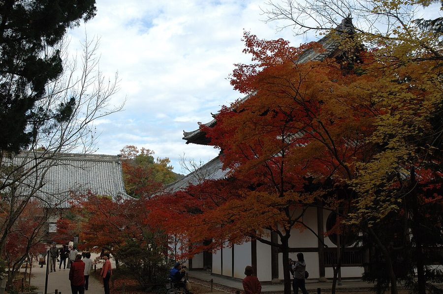 宝福寺の紅葉