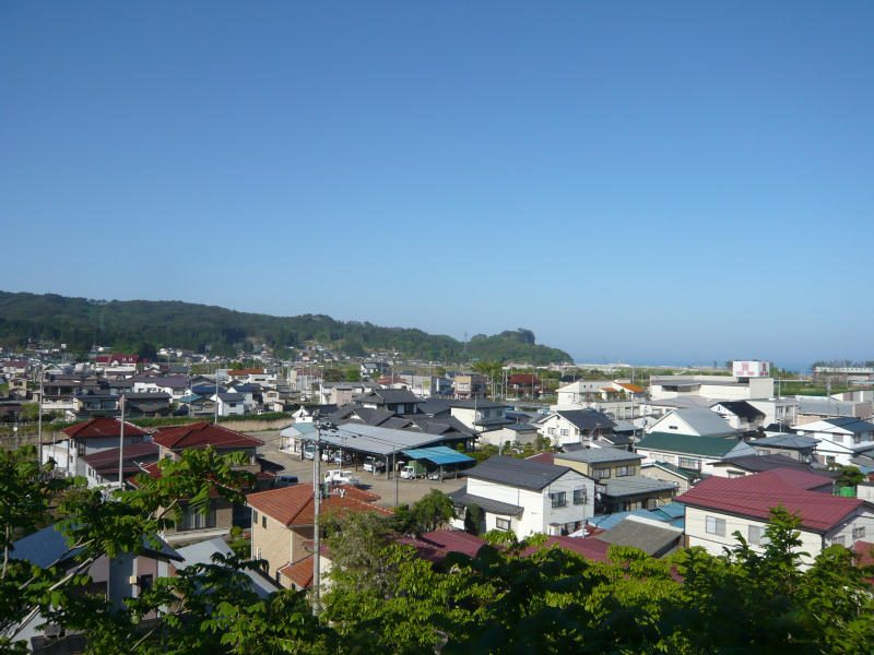 愛宕神社から見下ろす野田村中心部