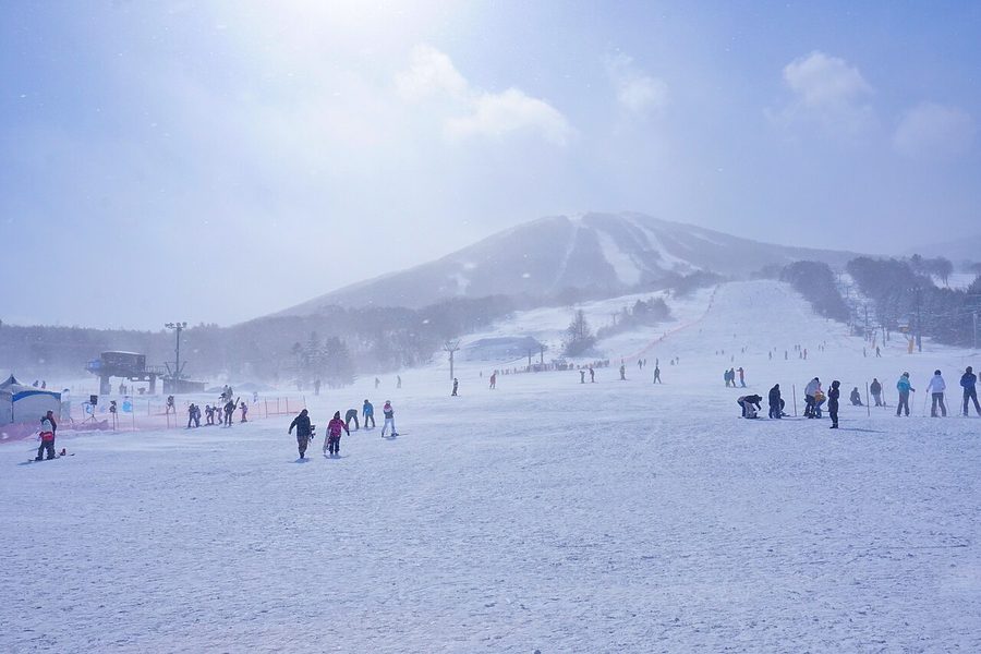 安比高原スキー場のゲレンデ