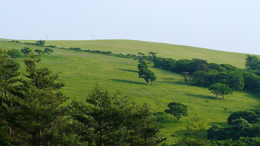 種山ヶ原の高原風景
