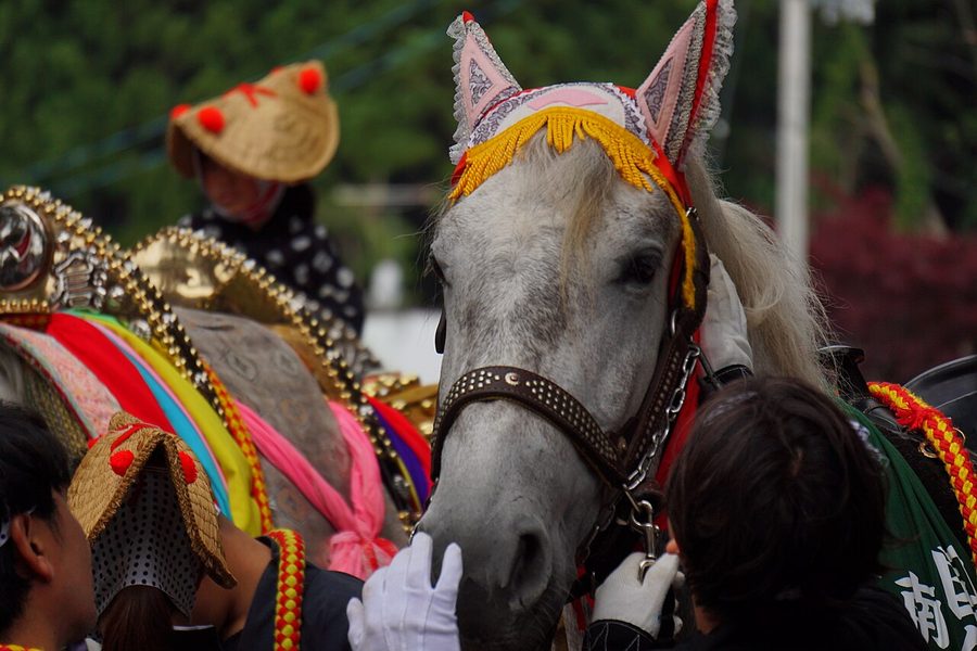 チャグチャグ馬コの馬