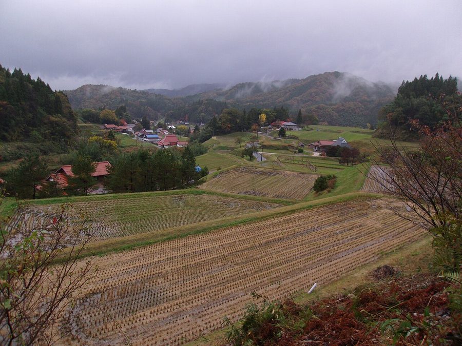 奥出雲町の棚田