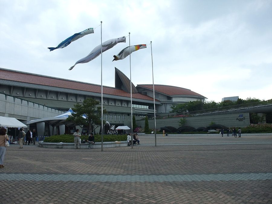 島根県立しまね海洋館アクアス