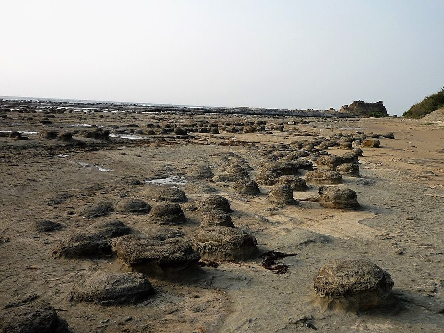 石見畳ヶ浦の海岸に並ぶノジュール（球状の岩塊）