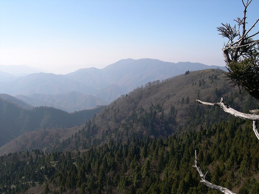 安蔵寺山の稜線