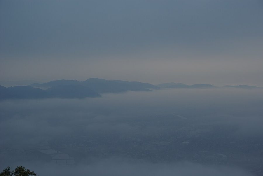 高谷山から見た朝霧