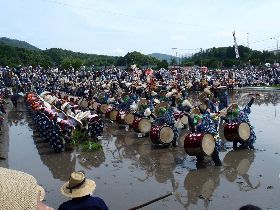 壬生の花田植