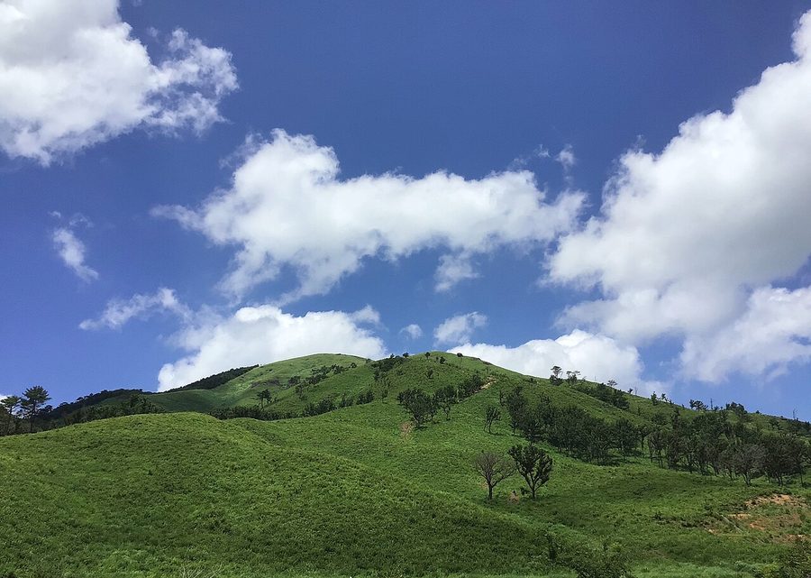 深入山の山頂付近