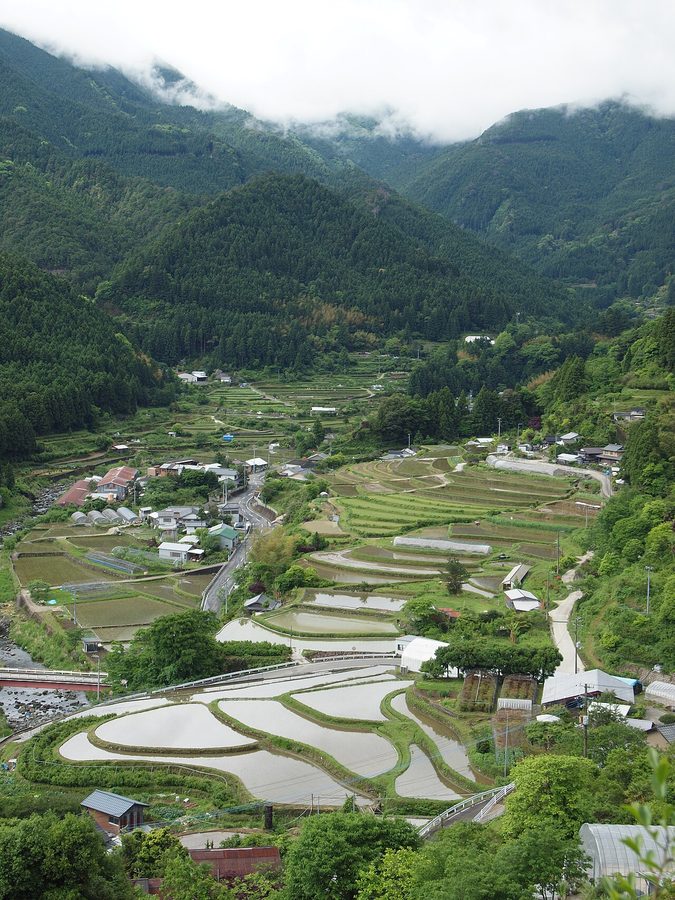 樫原の棚田