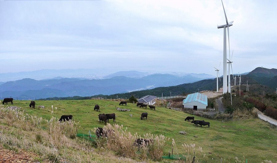 大川原高原