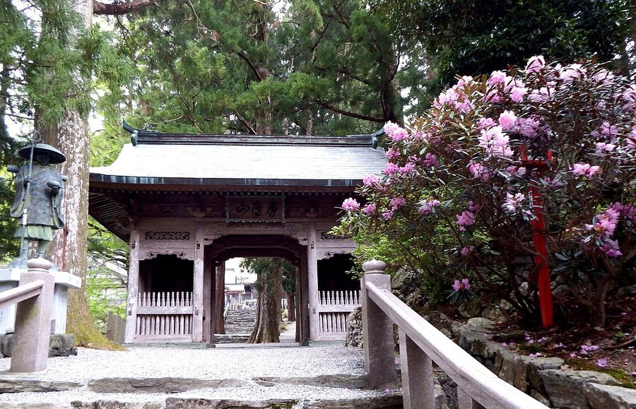 焼山寺の仁王門