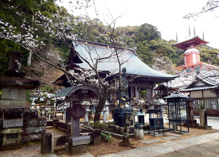 薬王寺の本堂と瑜祇塔