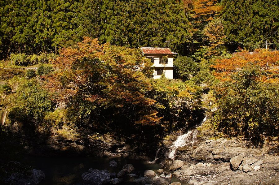 那賀町の山あいに立つ一軒家