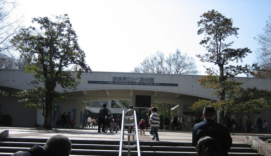 愛媛県立とべ動物園の入口