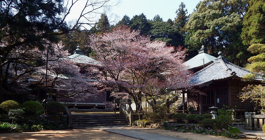 三角寺の境内