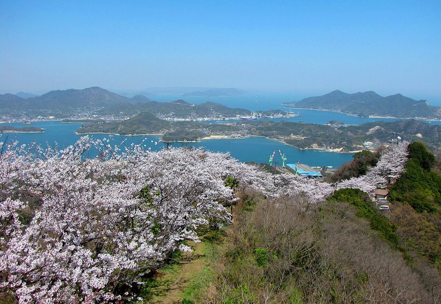 岩城島・積善山の山頂から、生名島・因島方面を望む