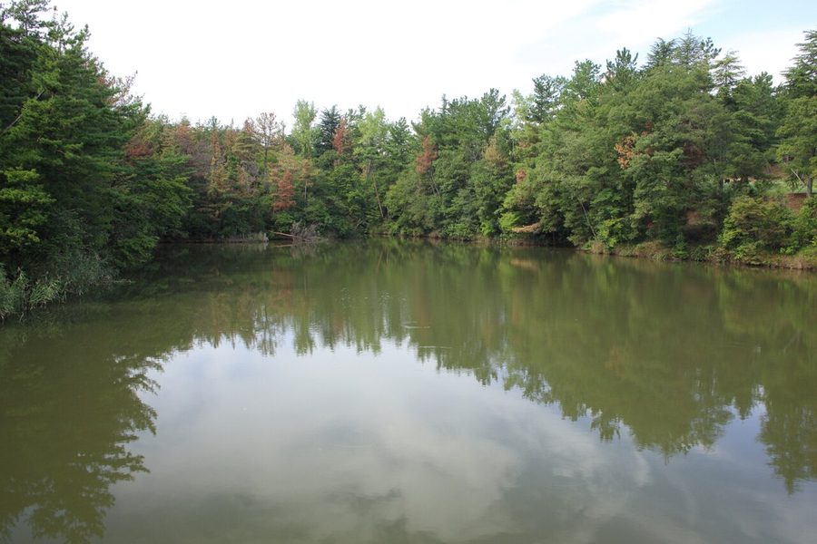 長田池(みよし市黒笹町)
