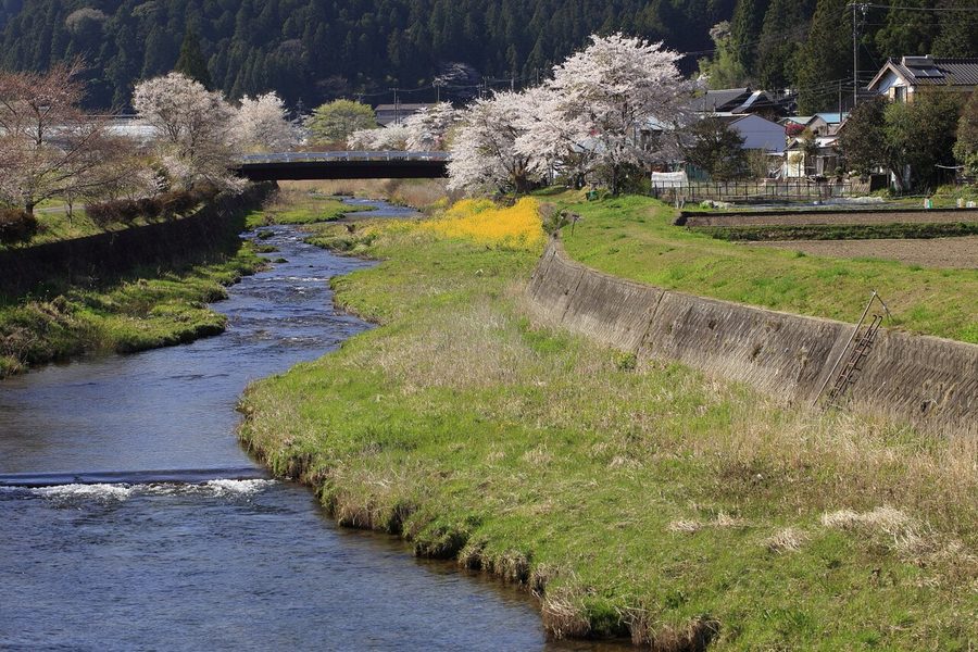 津具川