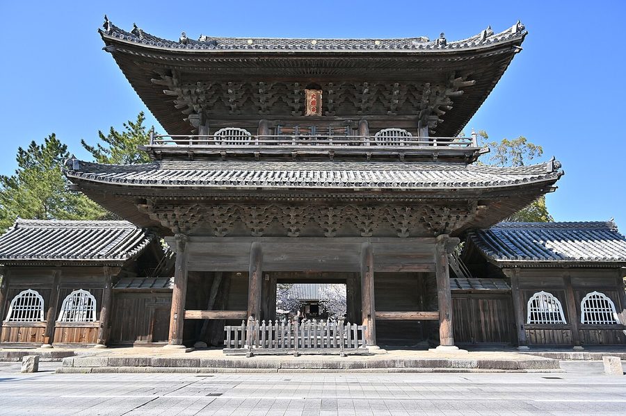 大樹寺の三門