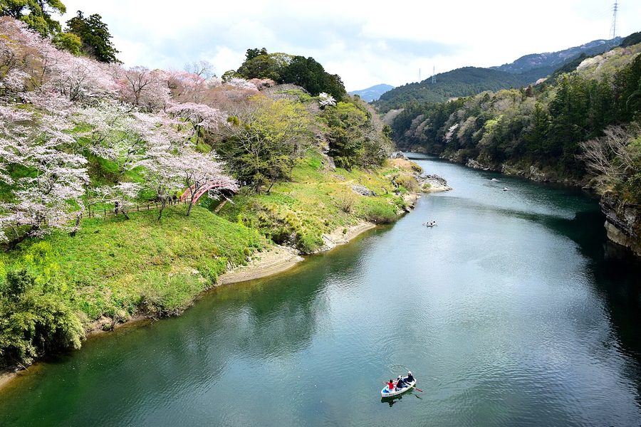 桜淵公園を流れる豊川