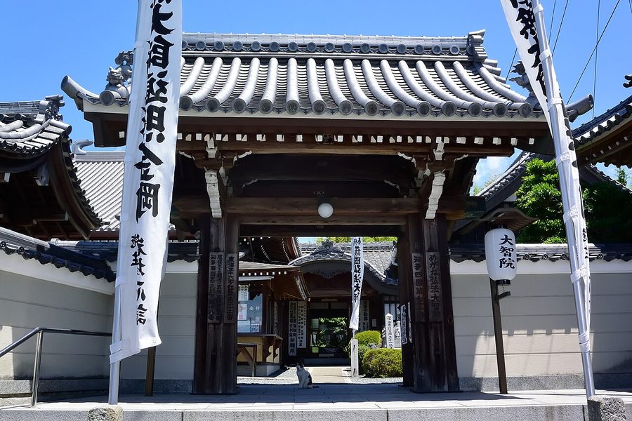 大智院の山門