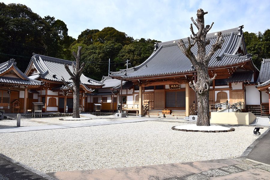 洞雲院の本堂と境内