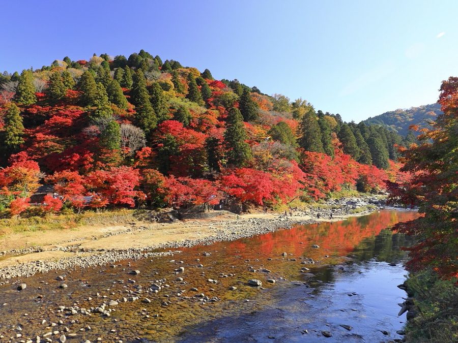 巴川と飯盛山