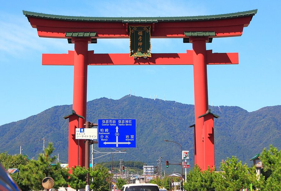 彌彦神社の大鳥居