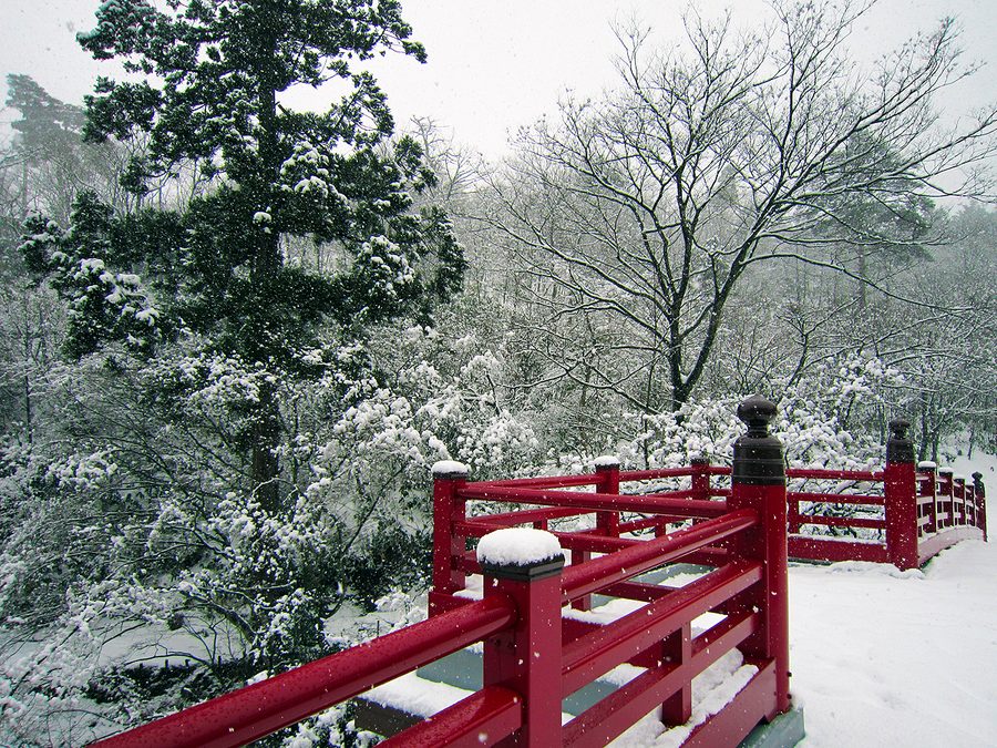 雪の弥彦公園