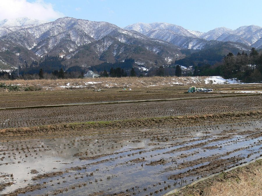 五頭連峰と手前に広がる水田