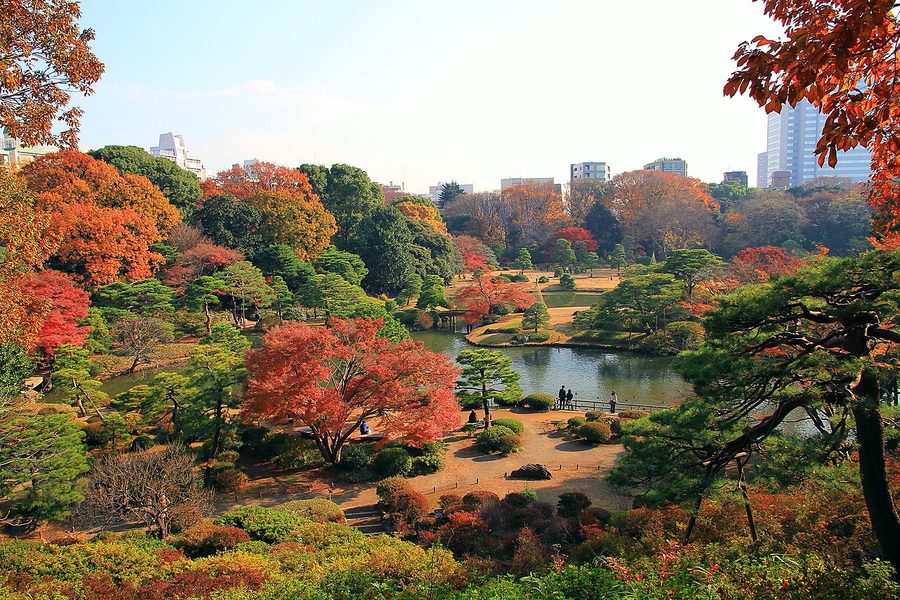 六義園の紅葉